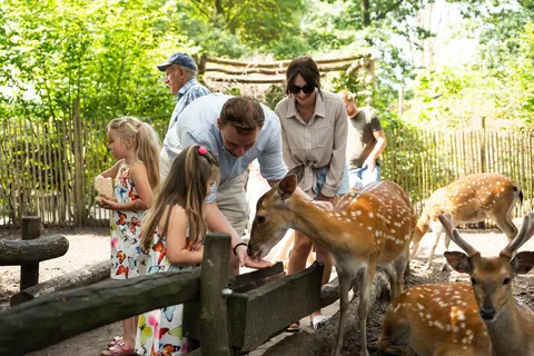 Ferienresort Bad Bentheim foto 39