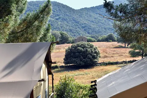 Olva in Sartène — foto 16
