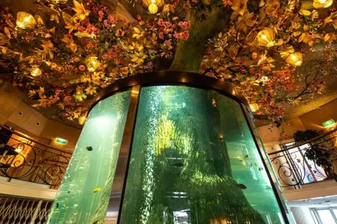 Hotel en Restaurant Infinity foto 6