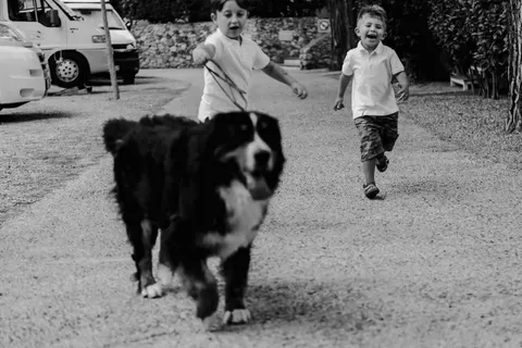 Eurocamping Calvisio foto 23