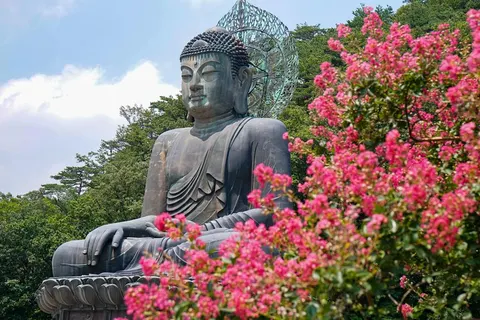 13-daagse rondreis Hoogtepunten van Zuid-Korea in Busan — foto 3