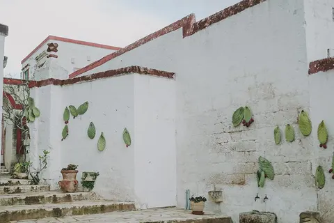 Masseria Montenapoleone in Fasano — foto 3