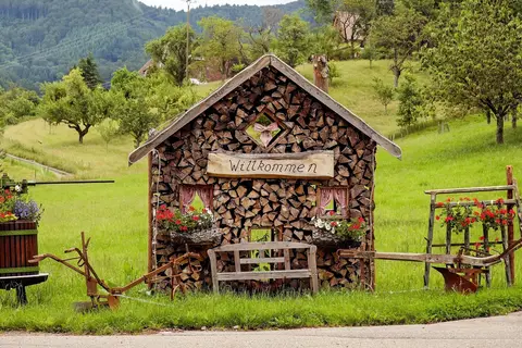 Hotel-Gasthof Rappen in Baiersbronn — foto 26