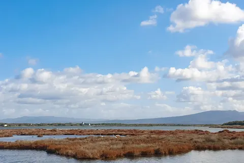 Camping S Ena Arrubia foto 13