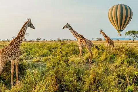 Explore the Great Nature of Tanzania foto 7