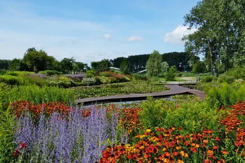 OZO Hotels Antares Airport foto 21