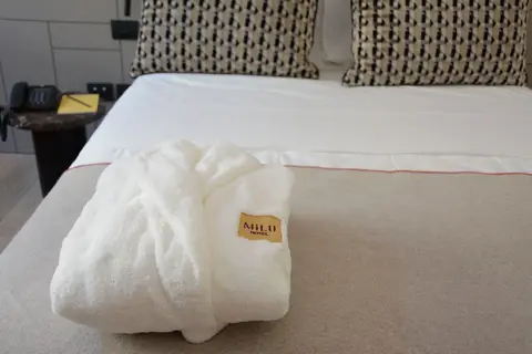 Hotel Milu in Florence, foto 13