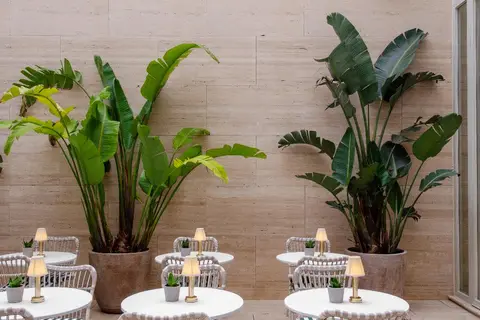 Browns Avenue Hotel in Almada — foto 13