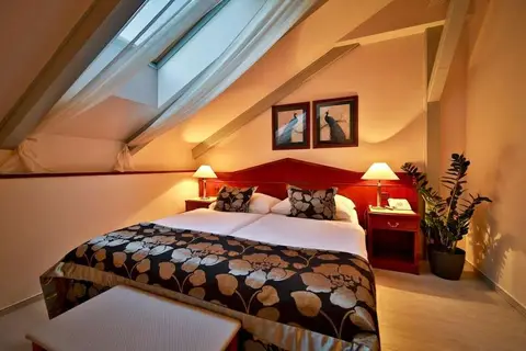 Hotel Carlton Prague in Praag, foto 4