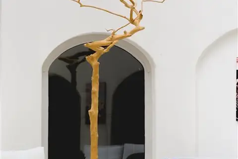 Tharroe Of Mykonos in Τούρλος — foto 30