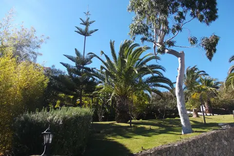 La Palma Romantica in Barlovento — foto 3