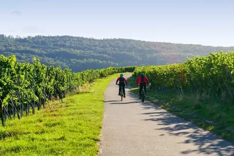 Gästehaus Kiebel foto 19