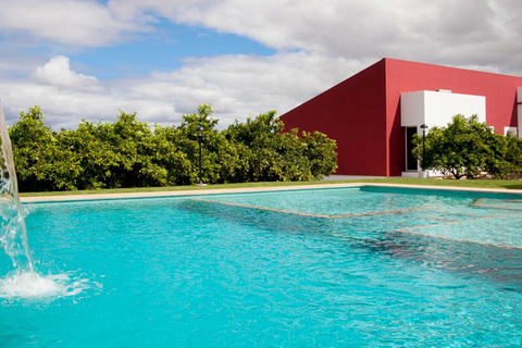 Quinta dos I's foto 5