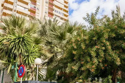 Apartamentos El Faro in Benidorm — foto 8