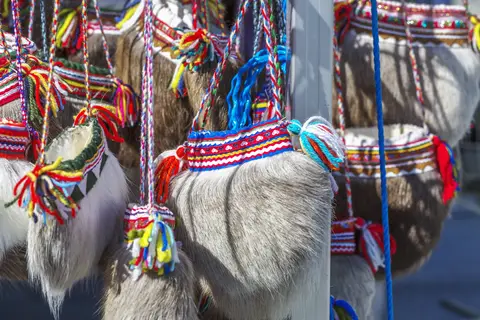 Ontdek Finland in Helsinki — foto 12