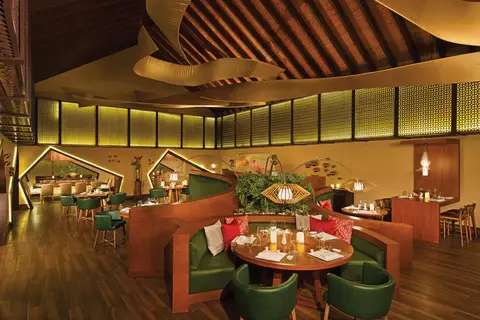 Dreams Onyx Resort & Spa in Punta Cana, foto 9