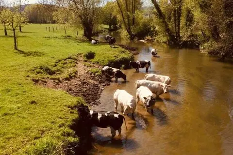 Hotel Atlanta Valkenburg foto 36