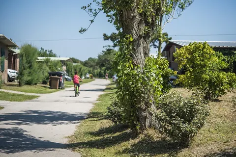 Rosapineta Camping Village foto 11