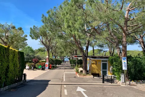 Camping Serenella foto 11