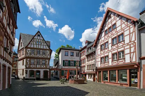Fietscruise Rijn en Moezel, Koblenz - Koblenz in Enkirch — foto 8