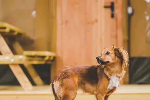 Camping Taïga Conil foto 23