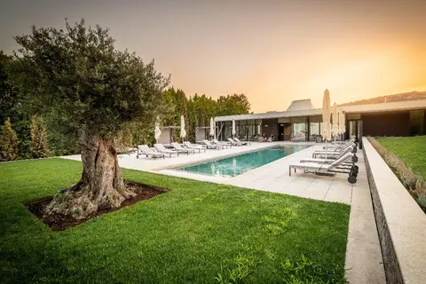 Quinta da Pacheca in Lamego, foto 5