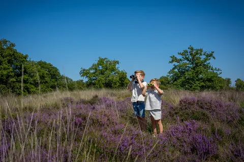 Camping De Tovertuin foto 6