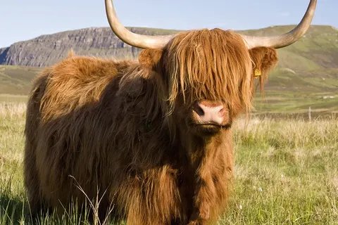 De Ronde van Schotland foto 20