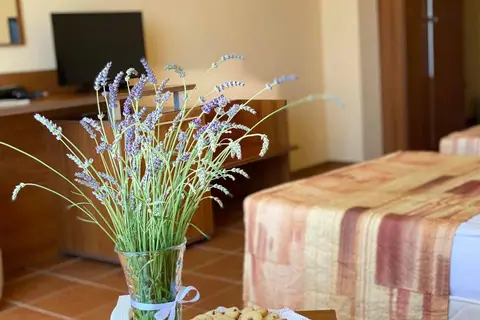 Plamena Palace in Приморско — foto 5