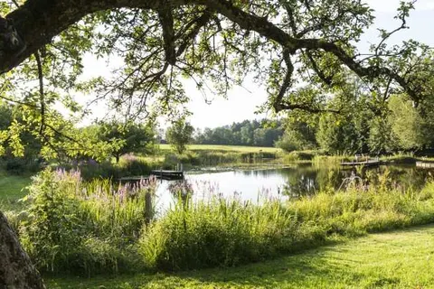 Hotel Hammerwirt foto 20