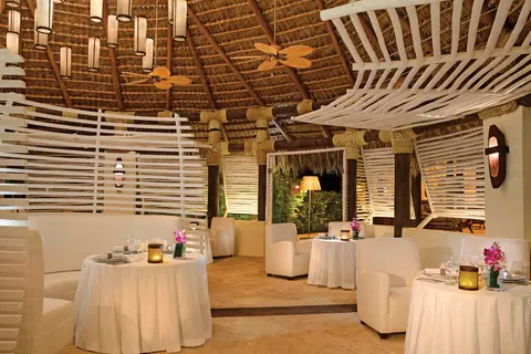 Zoëtry Agua Punta Cana in Salvaleón de Higüey, foto 29