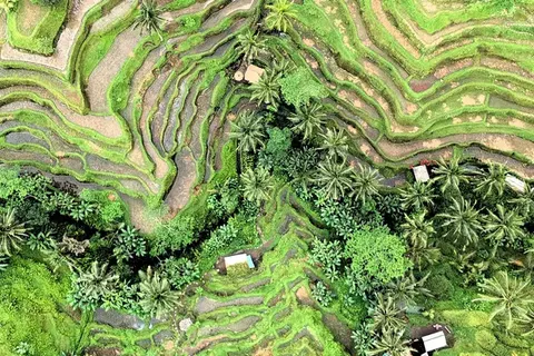 The Great Sumatra & Bali Adventure foto 6