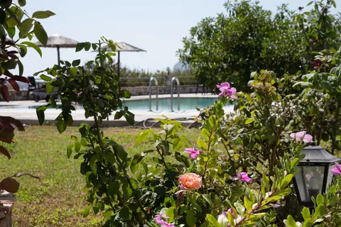 Gardenia in Gardenia Hotel, foto 22