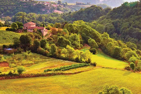 Camping La Buissière foto 14