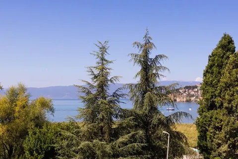 Millenium Palace foto 4