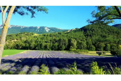 Camping Princes D Orange foto 15