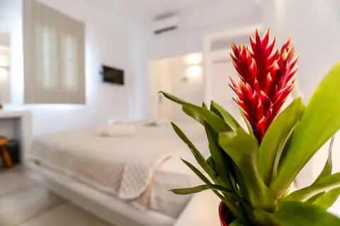 Casa Grande in Πλατύς Γιαλός — foto 20