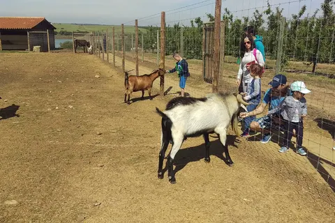 Hotel Rural Vila Gale Alentejo Vineyards foto 40