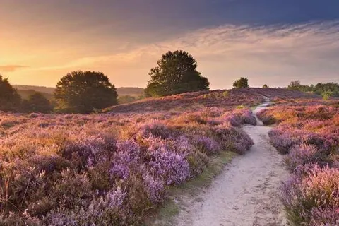 Best Western Hotel Baars foto 17