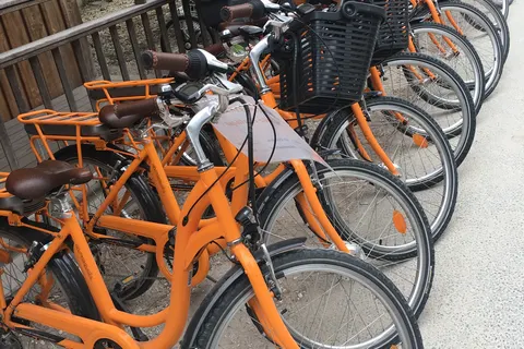 Camping Le Palace foto 20