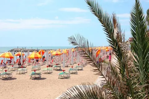 Executive Evolution Hotel in Cesenatico — foto 20