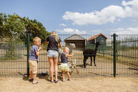 Camping Rcn De Flaasbloem foto 6