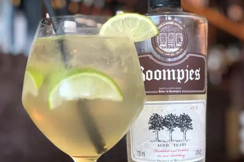 Novotel Rotterdam Schiedam foto 12