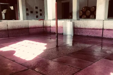 Quinta da Pacheca in Lamego, foto 10