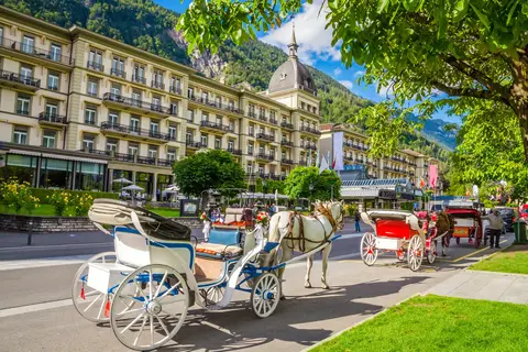 De Zwitserse meren op het gemak in Birmensdorf (ZH) — foto 11