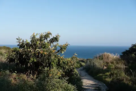 Quinta do Mar - Country & Sea Village in Lagos — foto 17