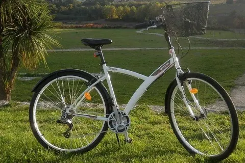 Lousada Country Hotel foto 15