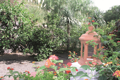 Bungalows La Villa foto 8