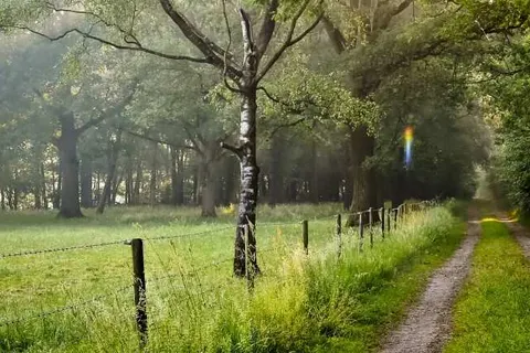 Fiets- of autovakantie Overijssel (Twente-Salland) foto 15