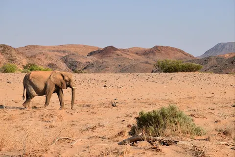 14 daagse reis Ontdek Namibië excl vlucht foto 4